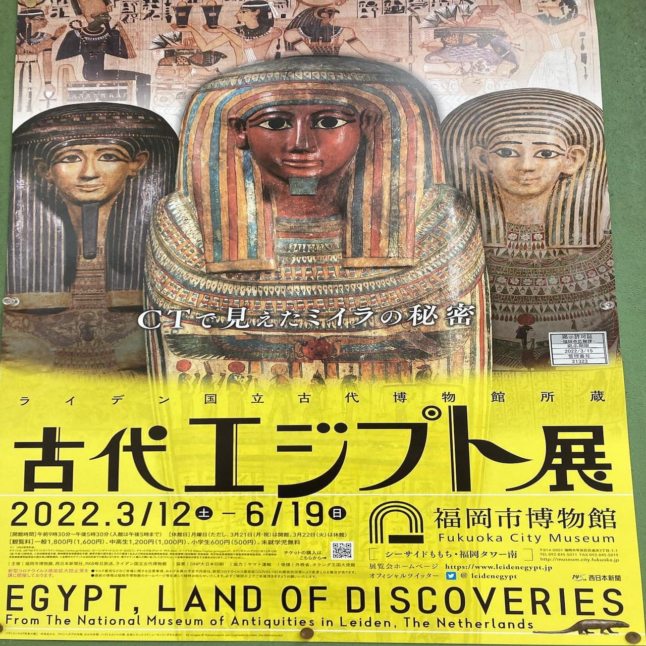 福岡市 古代エジプト展 が福岡市博物館で３ １２ ６ １９まで開催されます 号外net 福岡市中央区 城南区