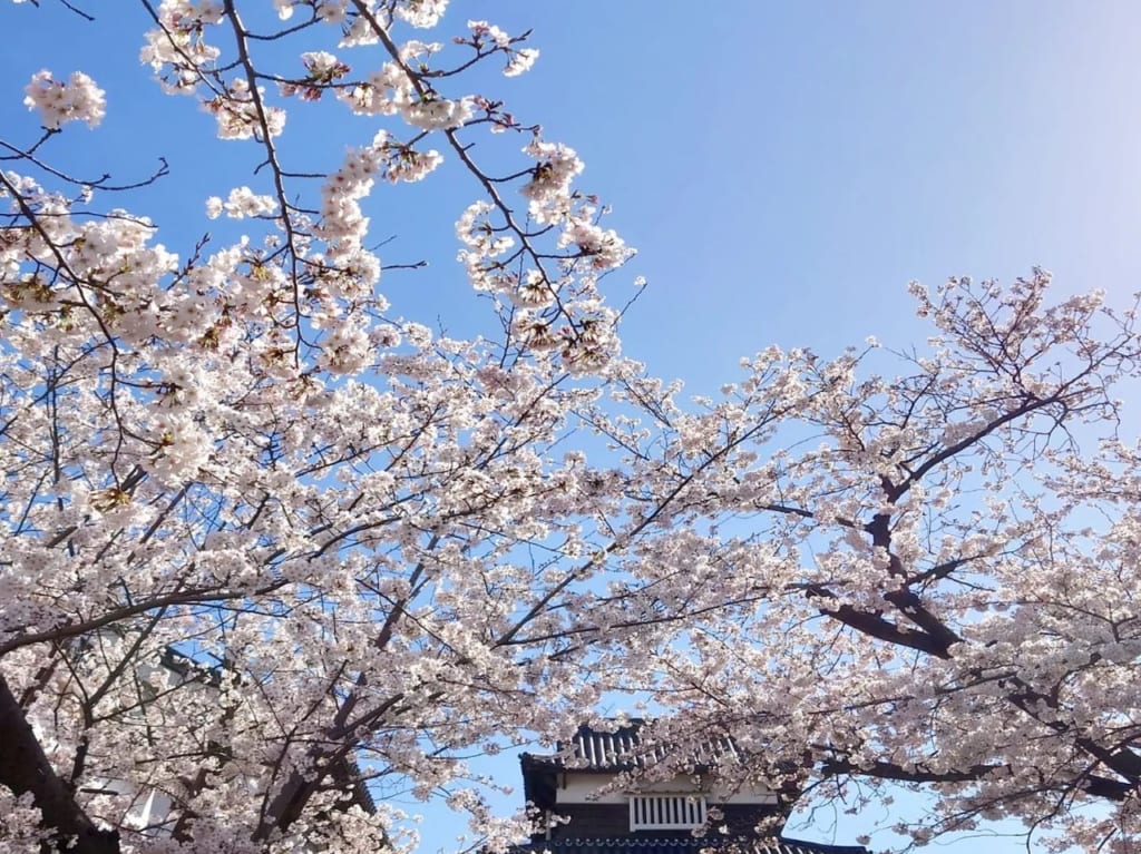 福岡城