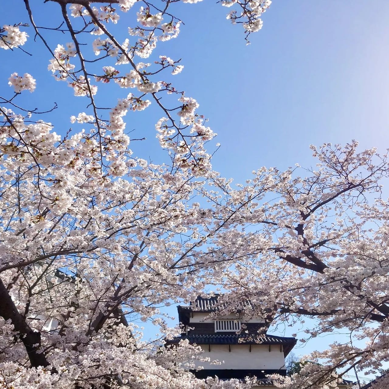 福岡城