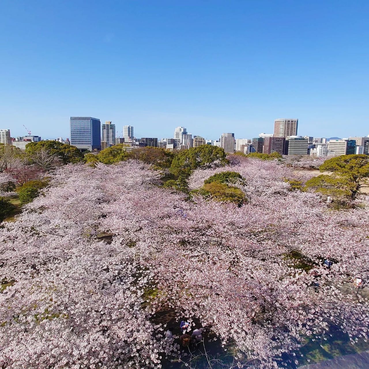 福岡城
