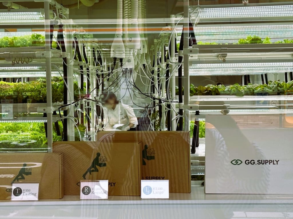 オンラインショップで話題の、野菜の新しい注文方法はこちらです♪＜ GG.SUPPLY 舞鶴店 ＞