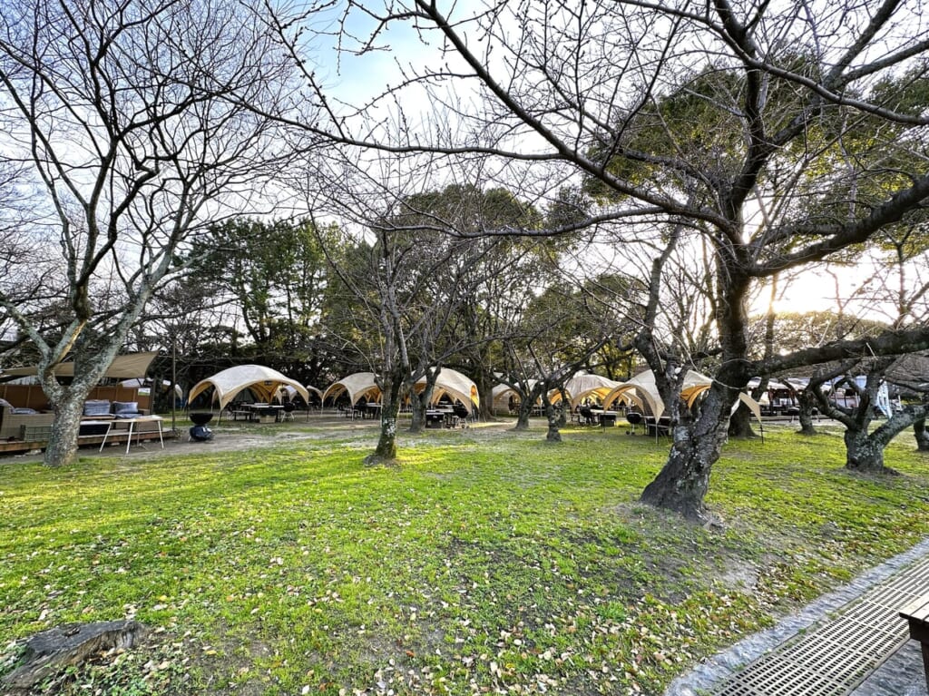２０２４年度の “桜×BBQ”！『 舞鶴公園 BBQ GARDEN 』の予約開始が、３月１日から始まっていますよ