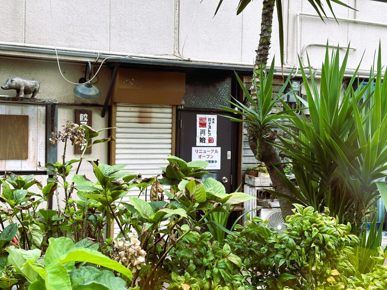 ちょっと待って！？餃子ストア復活の日が決まったみたいです。