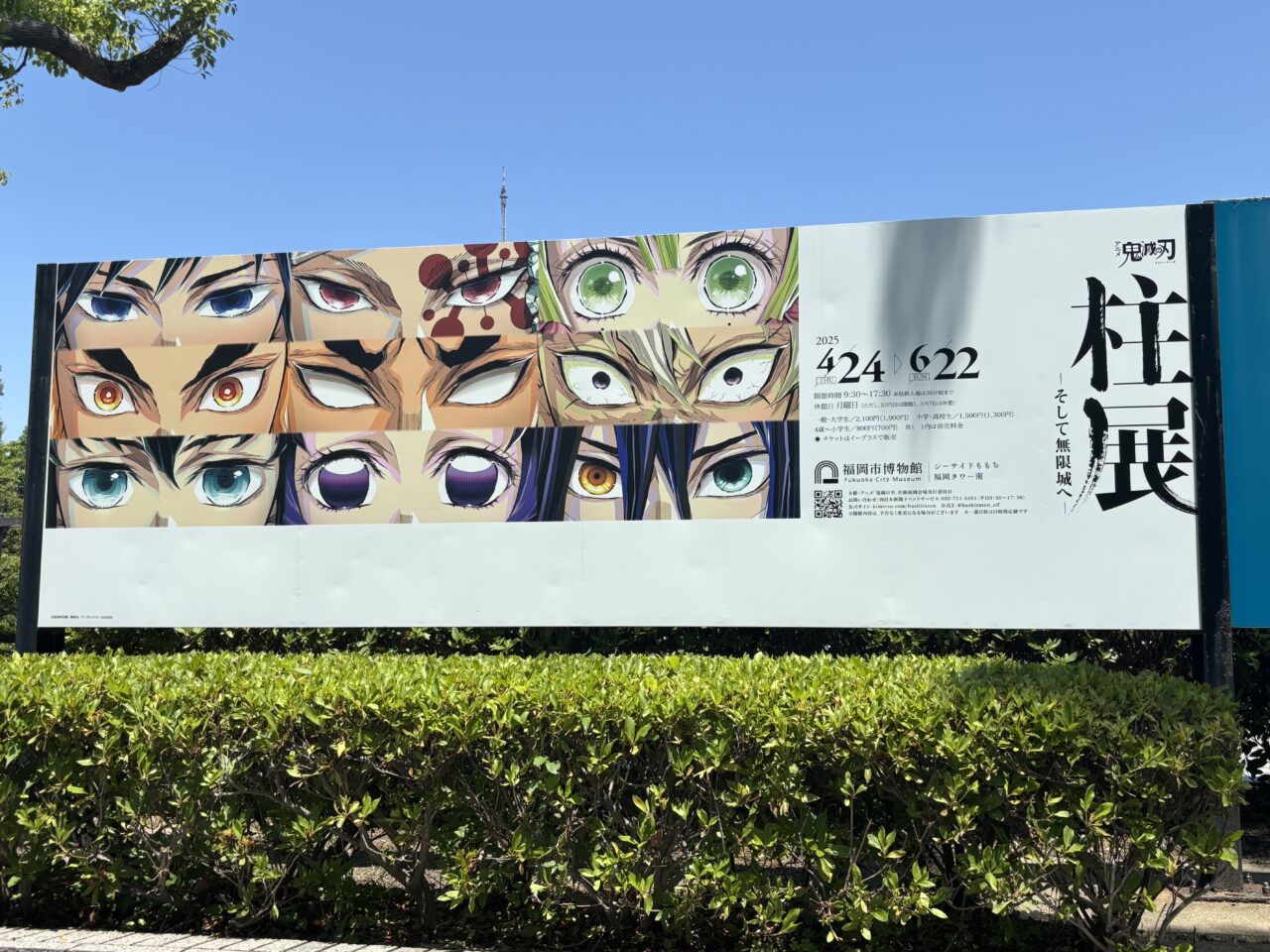 柱展