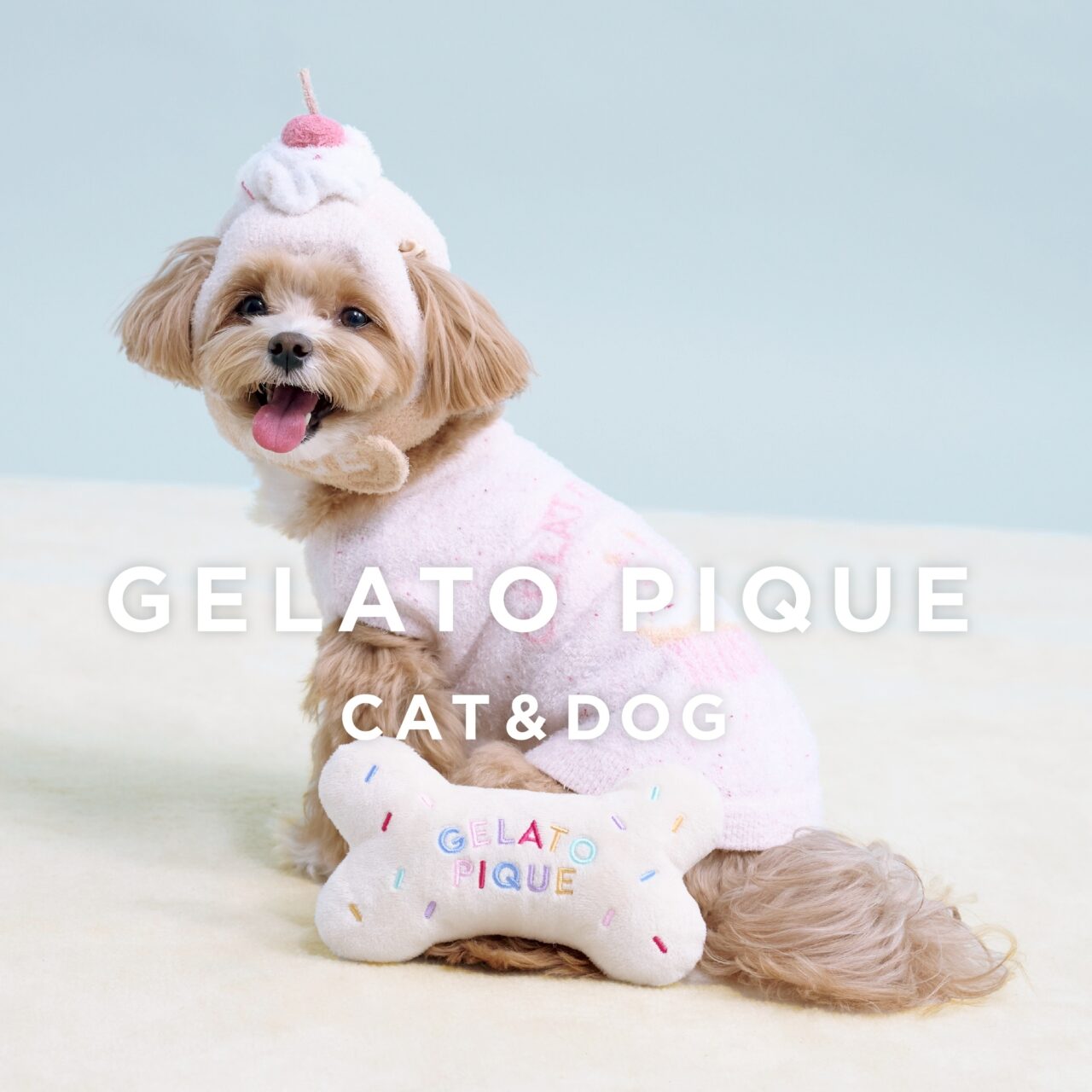 パルコリニューアル