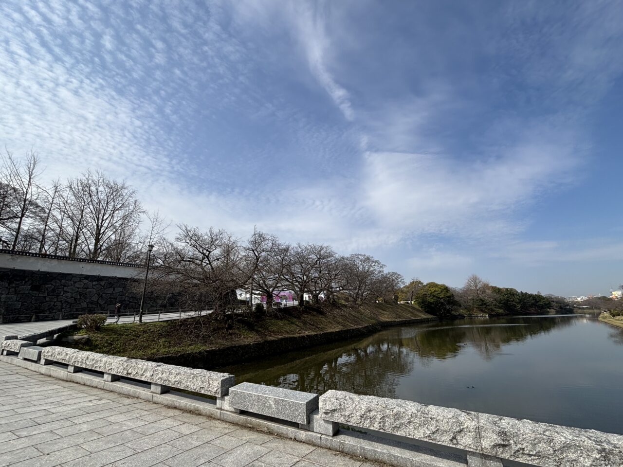 福岡城さくらまつり2026