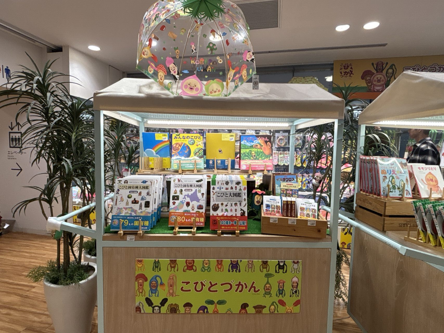 こびとづかんPOPUP