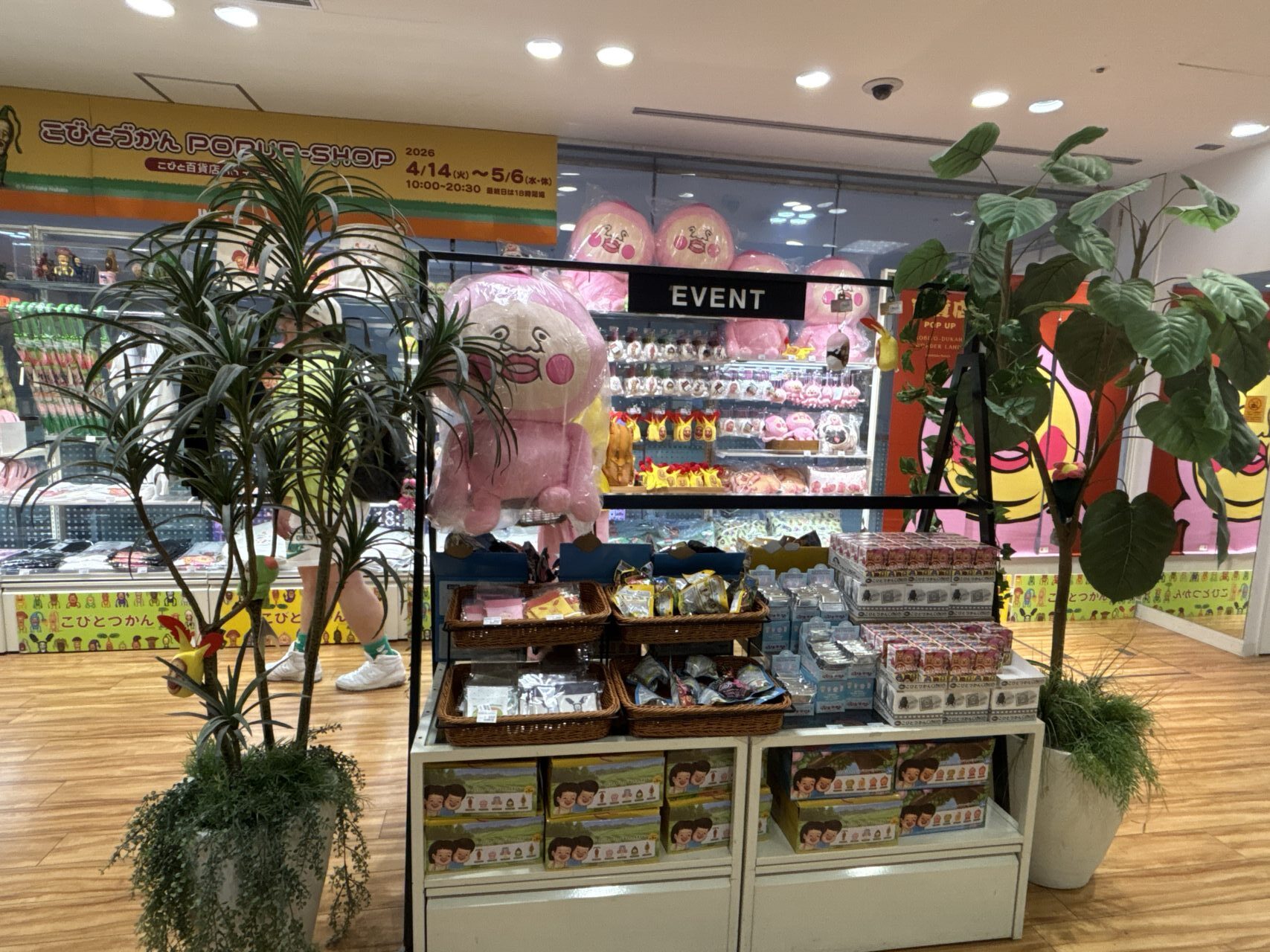 こびとづかんPOPUP