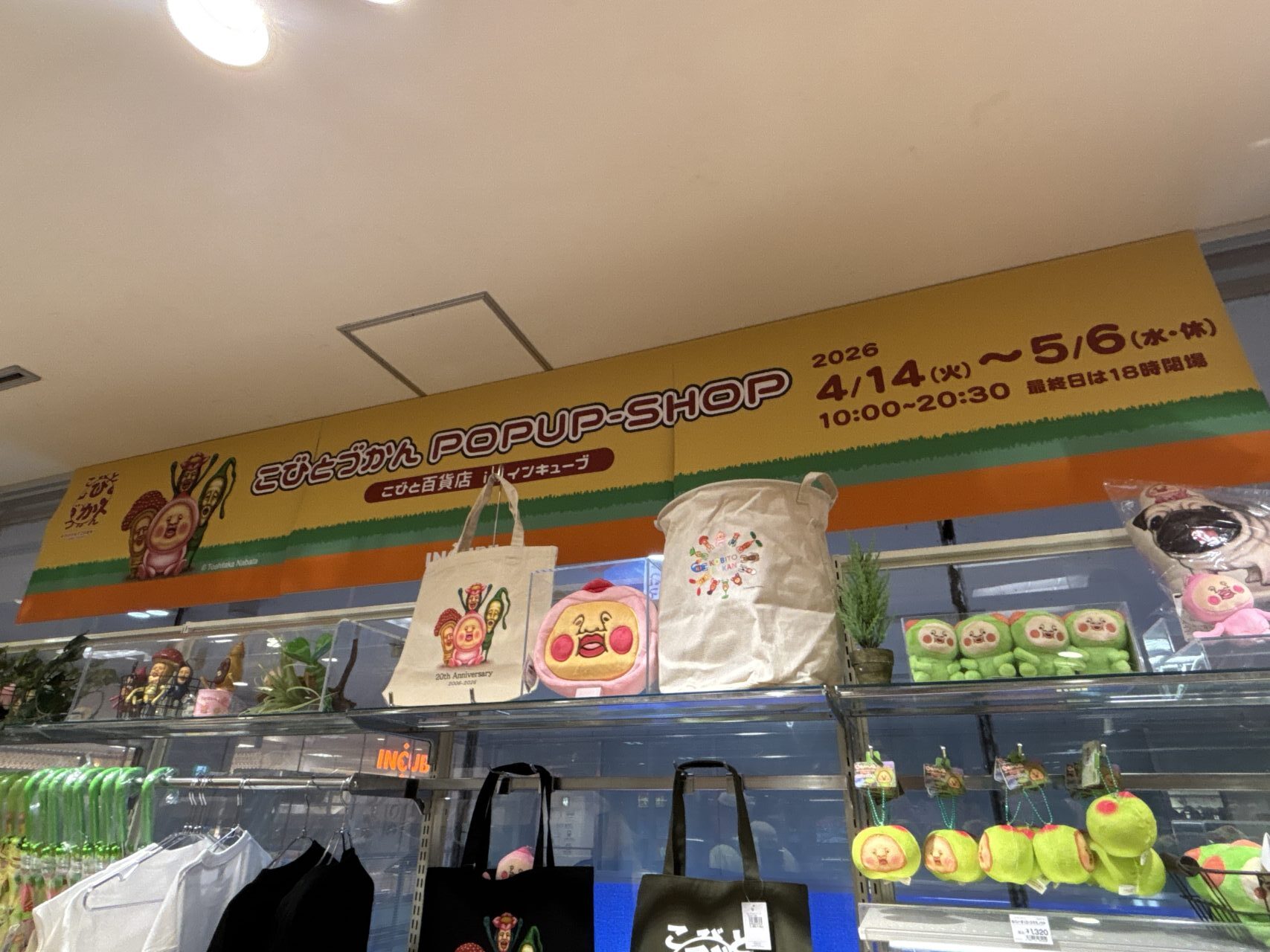 こびとづかんPOPUP