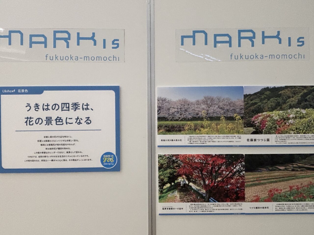 マークイズフェスうきは