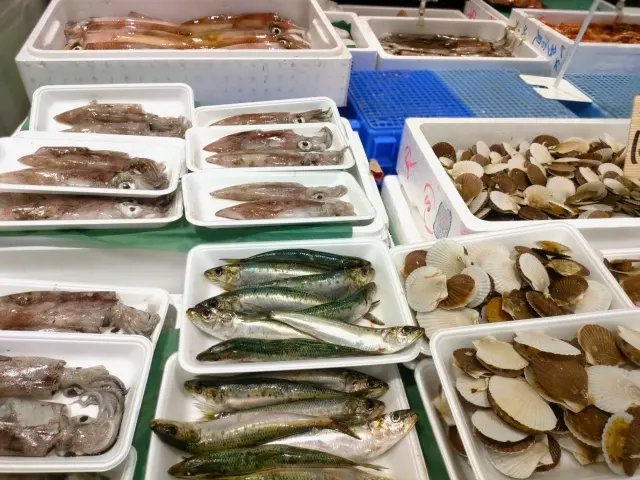 魚