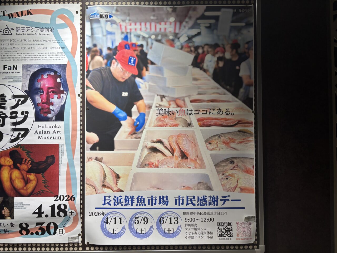 長浜鮮魚市場市民感謝デー