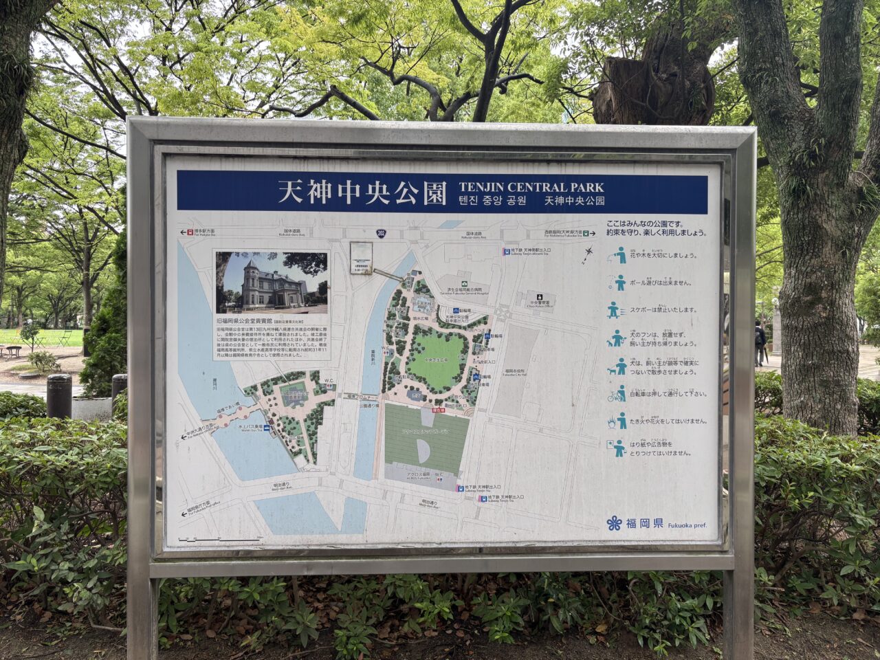 天神中央公園