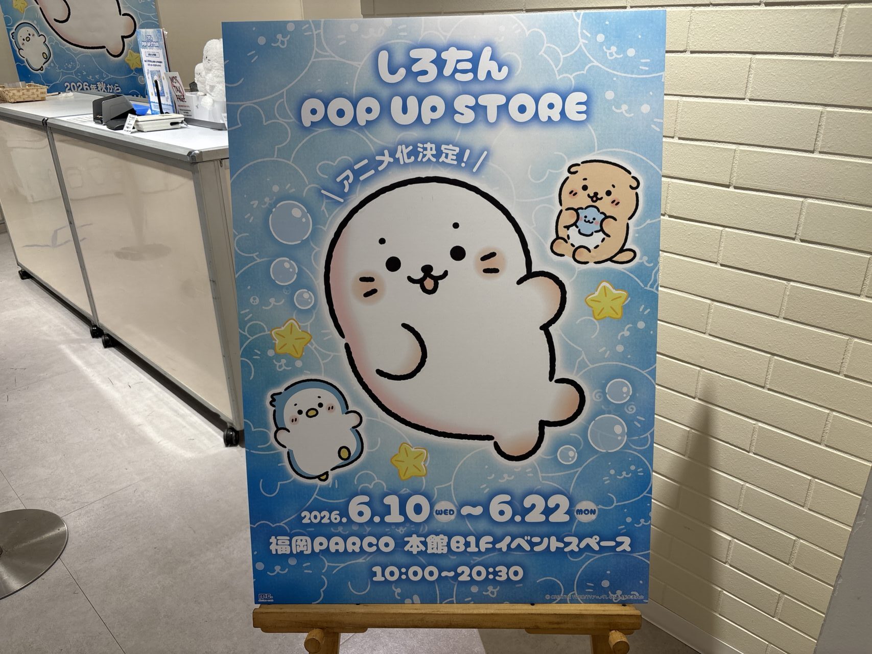しろたんPOP UP STORE