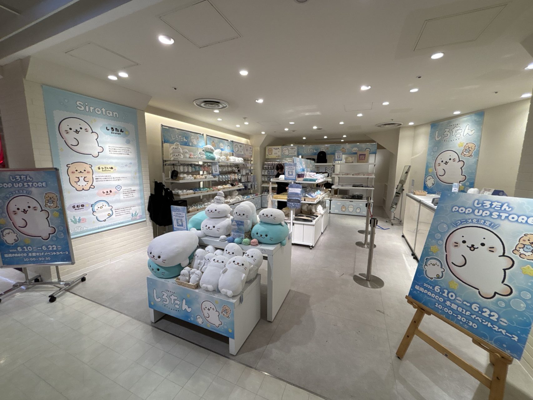 しろたんPOP UP STORE