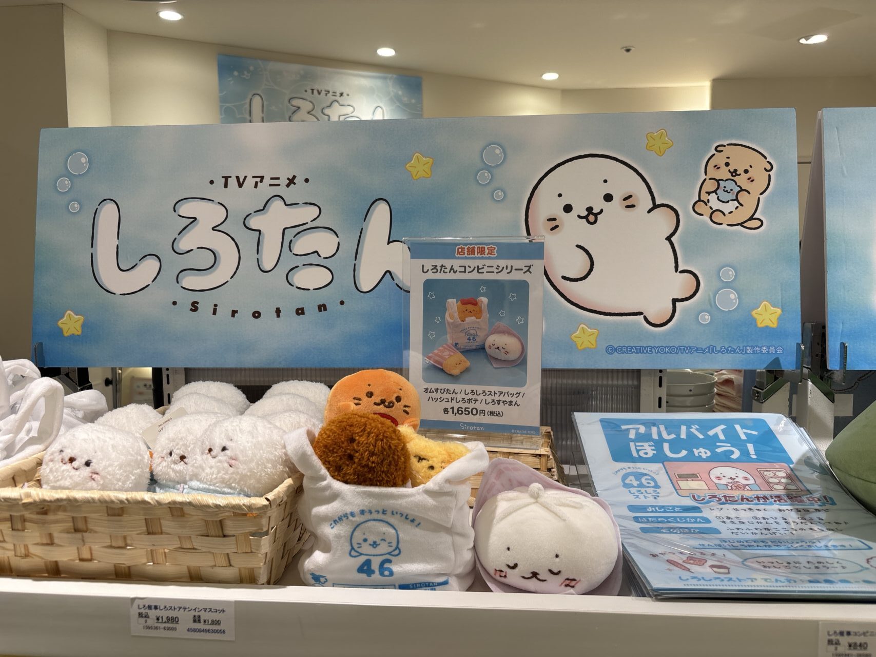 しろたんPOP UP STORE