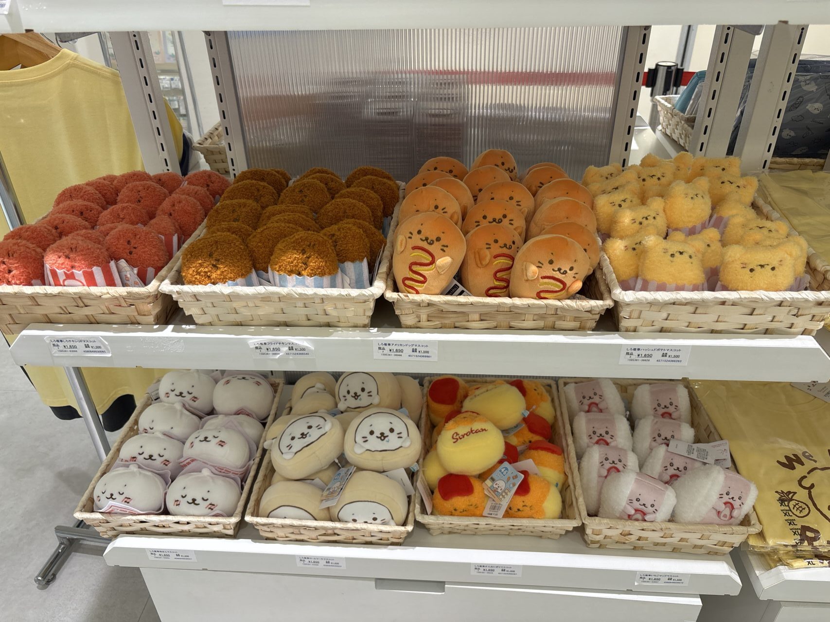 しろたんPOP UP STORE