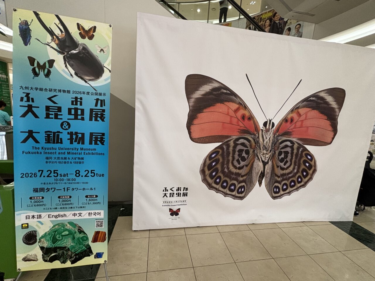 大昆虫展＆大鉱物展
